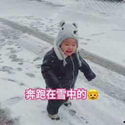 中日韩下雪女生视频网站,冬日浪漫瞬间大集合